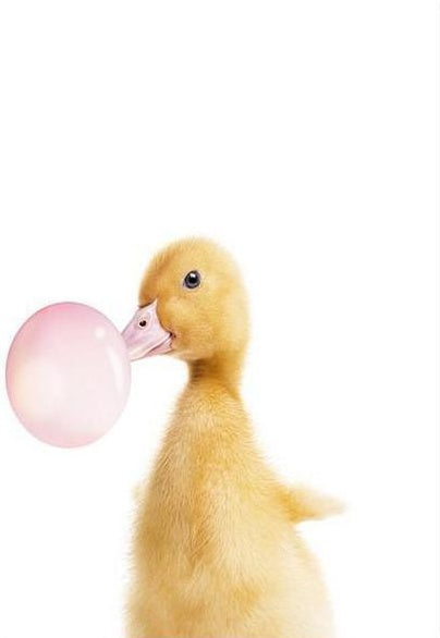 Canard et Ballon Peinture par Numéros