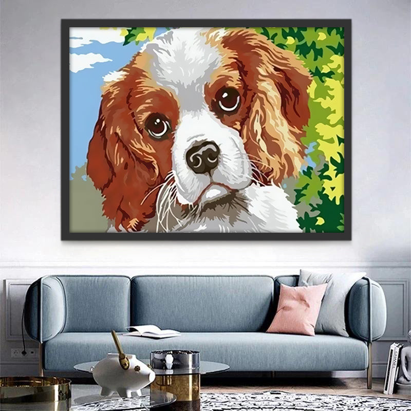 Cavalier King Charles Spaniel Peinture par Numéros