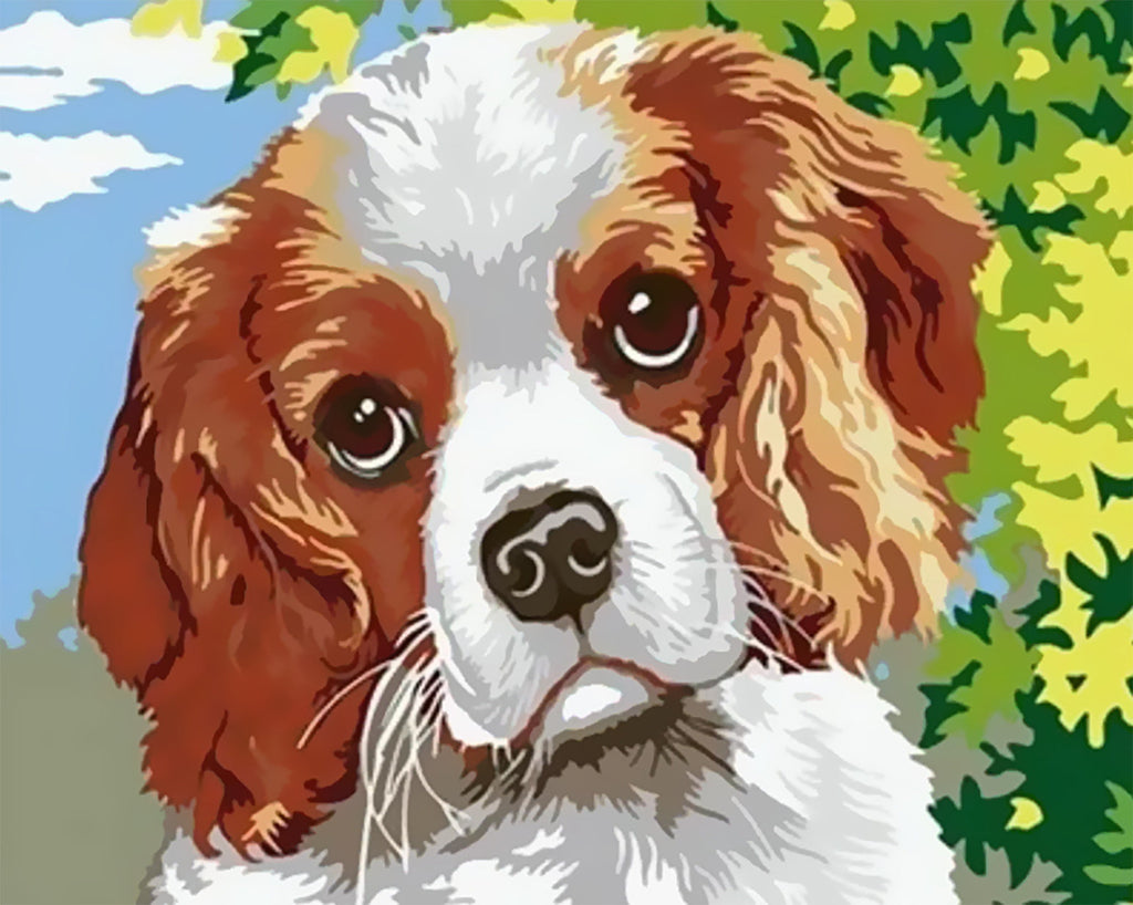 Cavalier King Charles Spaniel Peinture par Numéros