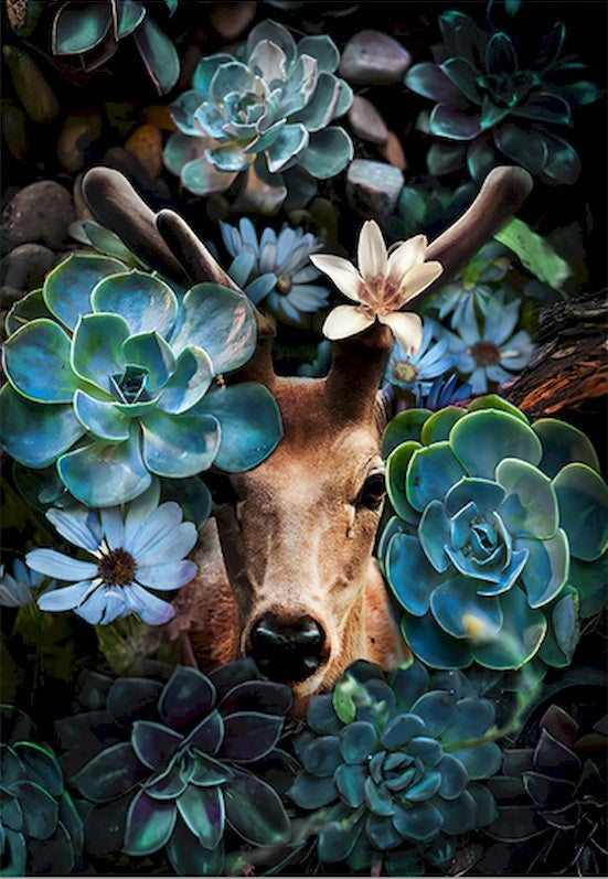 Cerf et Cactus Peinture par Numéros