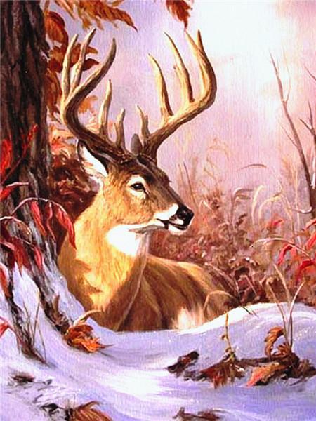 Cerf et Neige Peinture par Numéros