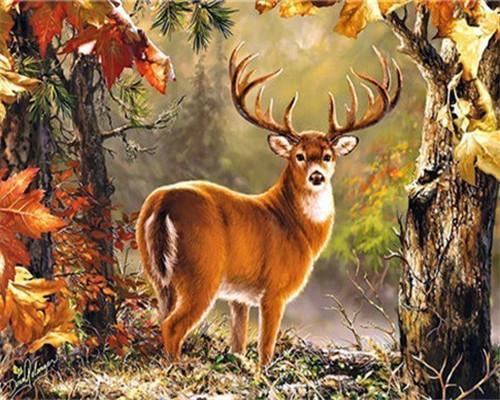 Cerf Regardant en Arrière Peinture par Numéros