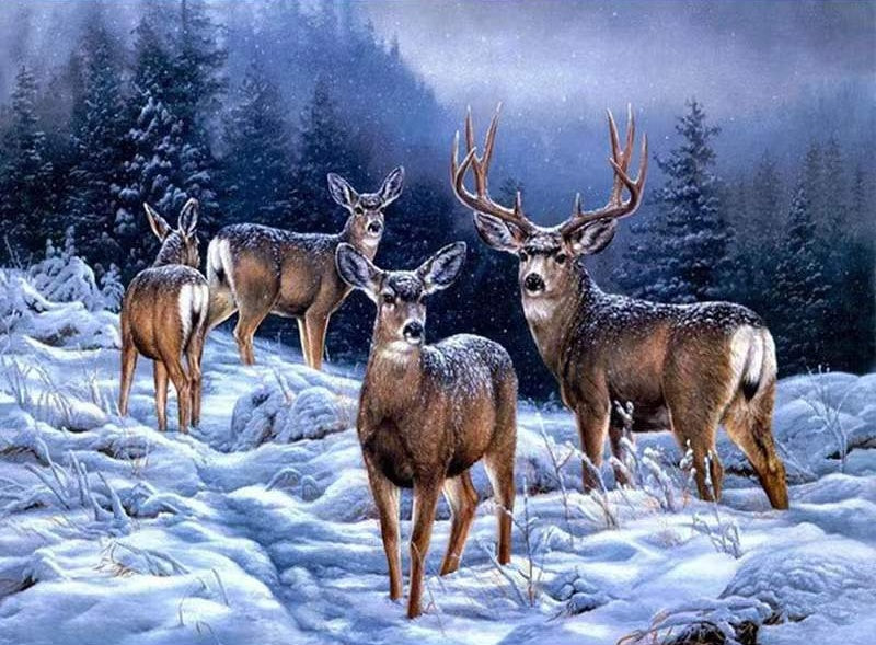 Cerfs dans la Neige Peinture par Numéros