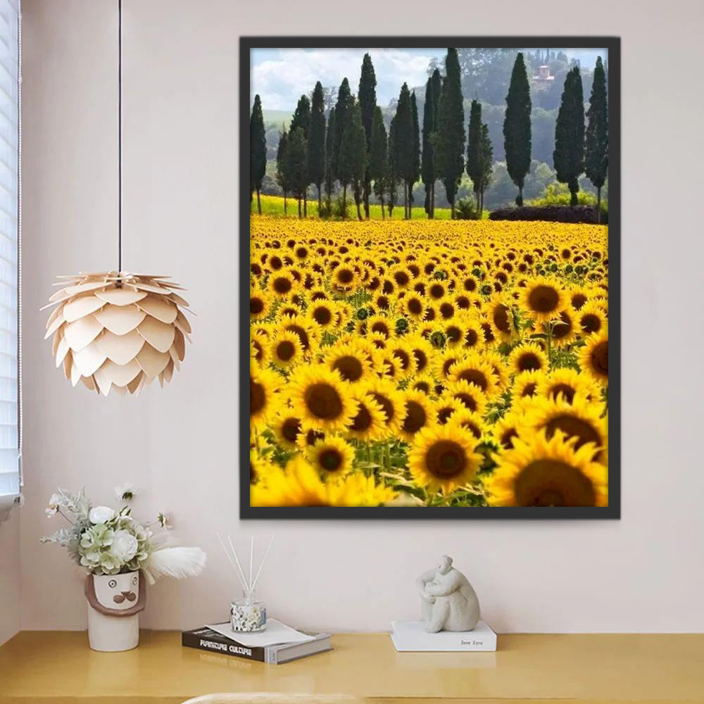 Champ de Tournesol Magnifique Peinture par Numéros