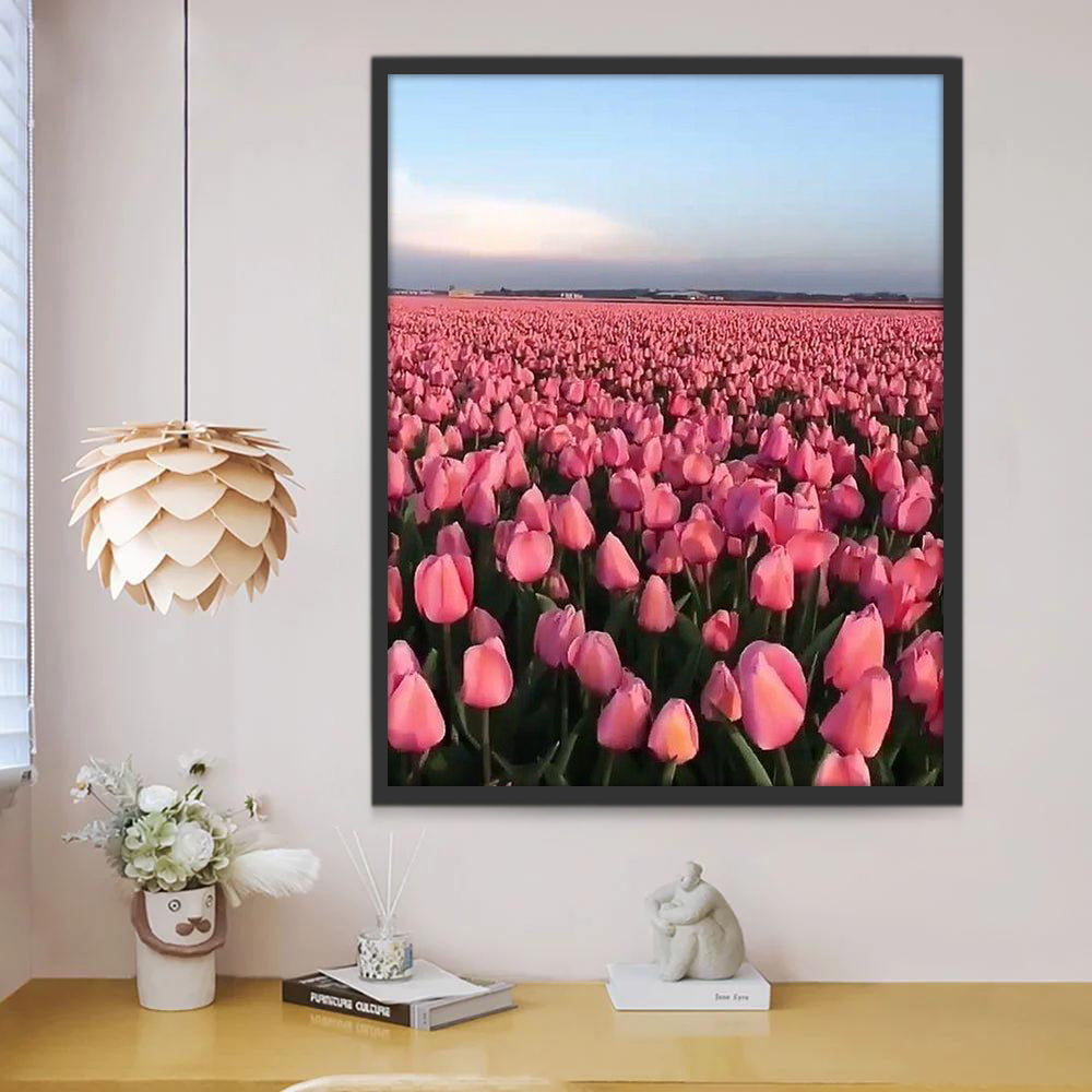 Champs de Tulipes Roses Peinture par Numéros