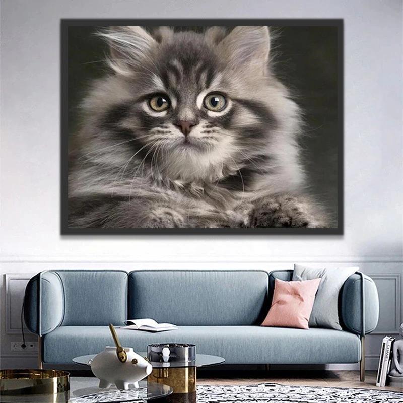 Chat à Poil Long Adorable Peinture par Numéros