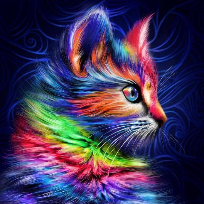 Chat Arc-en-Ciel Peinture par Numéros