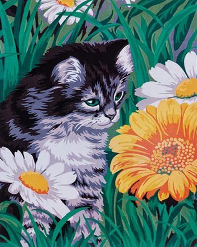 Chat avec des Marguerites et Tournesol Peinture par Numéros