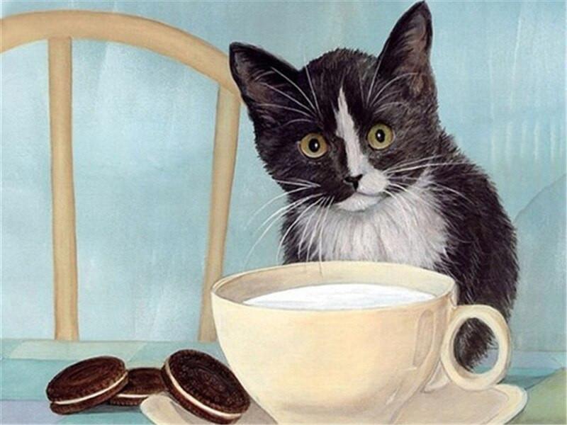 Chat avec une Tasse de Lait et Oréo Peinture par Numéros