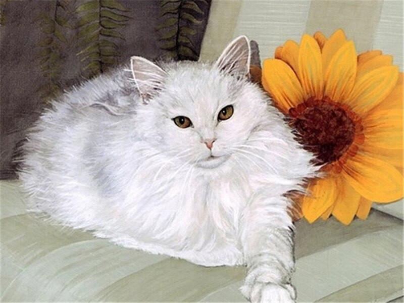 Chat Blanc à Poil Long et Tournesol Peinture par Numéros