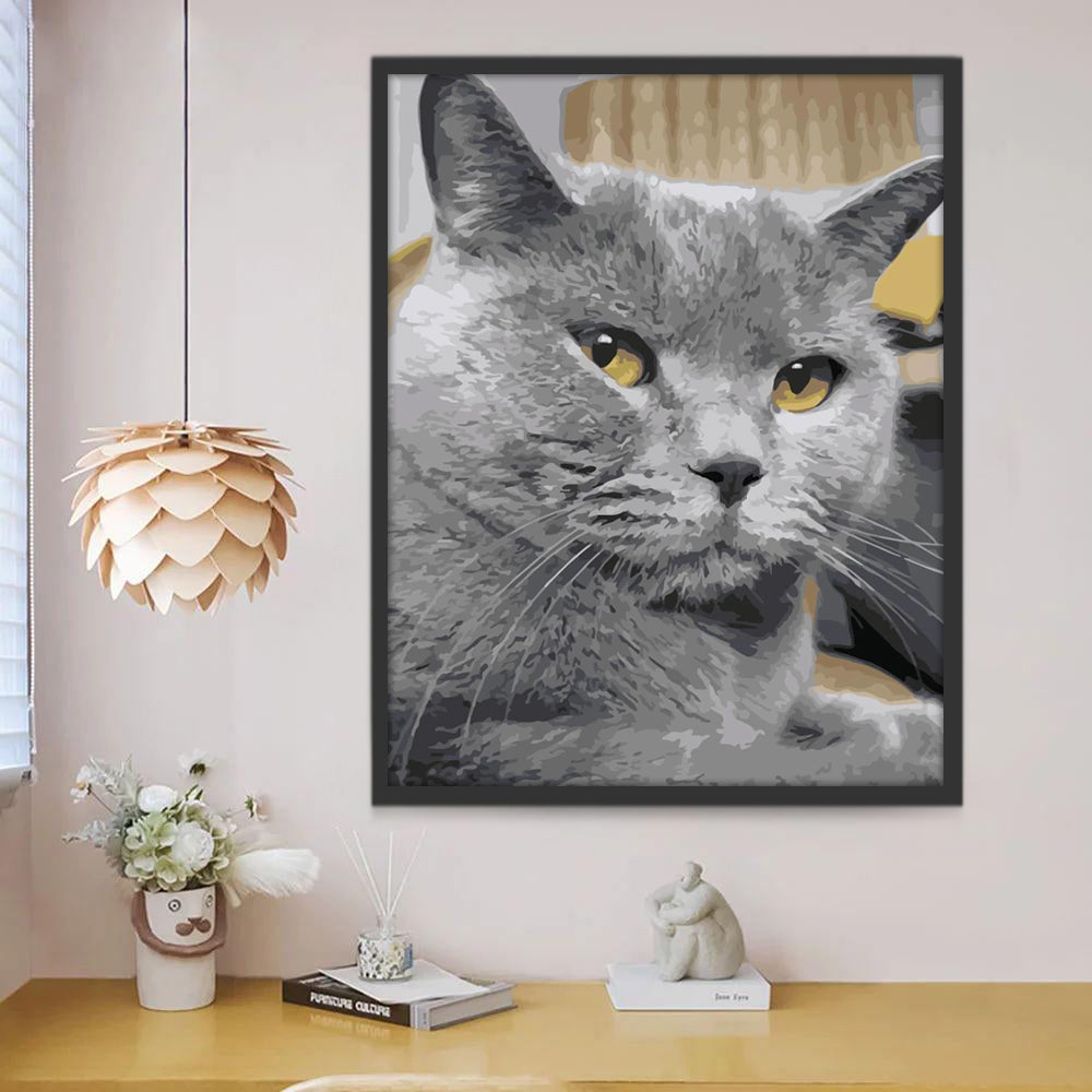 Chat British Shorthair aux Yeux Jaunes Peinture par Numéros