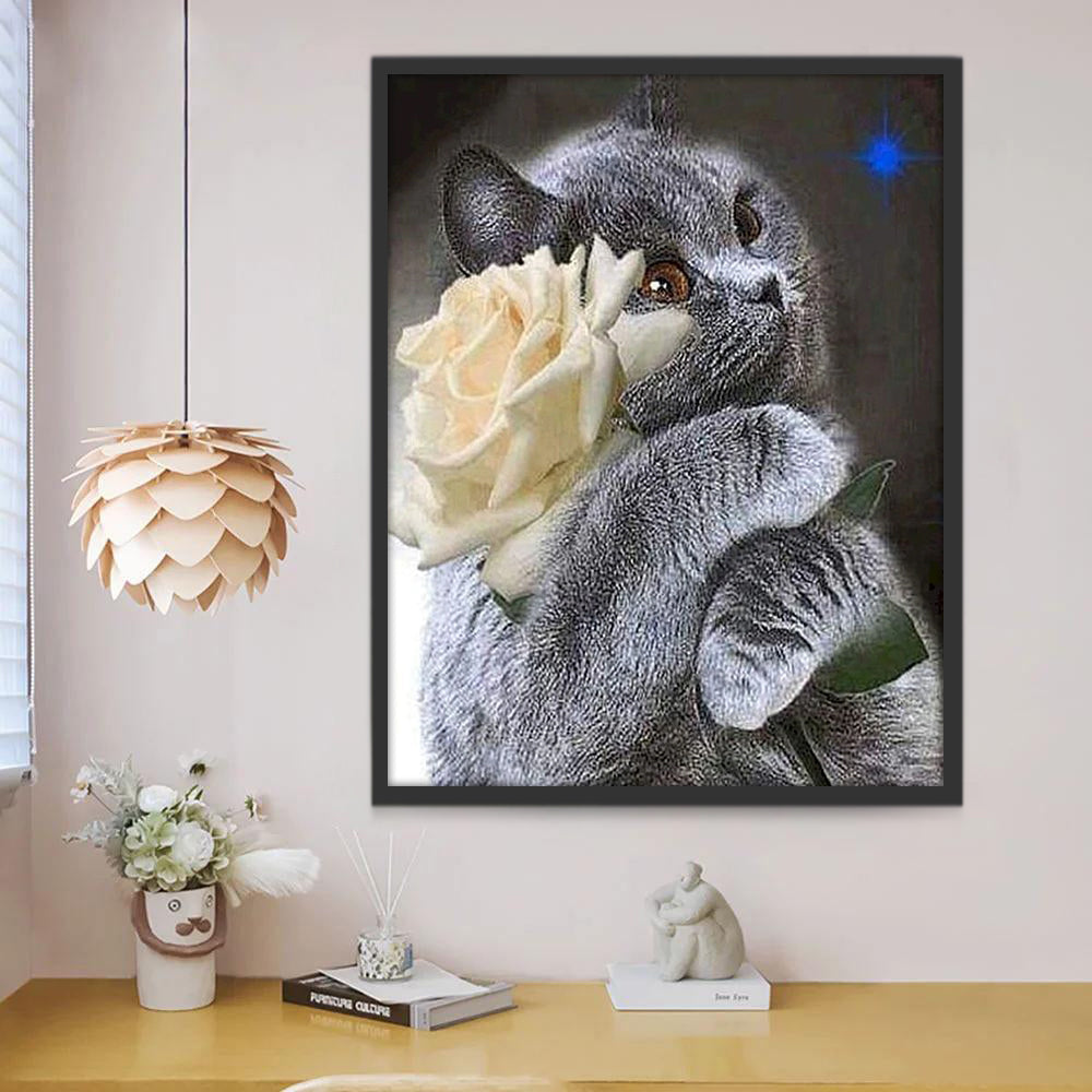 Chat British Shorthair Tenant une Rose Blanche Peinture par Numéros
