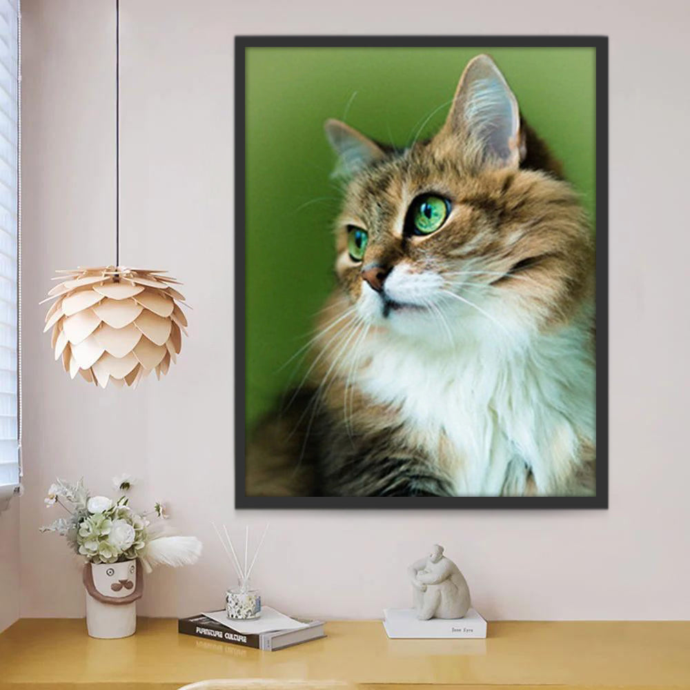Chat Brun à Poil Long aux Yeux Verts Peinture par Numéros