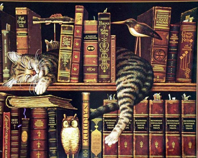 Chat Dormant sur l'Etagère Peinture par Numéros