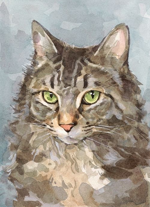 Chat Elégant Peinture par Numéros