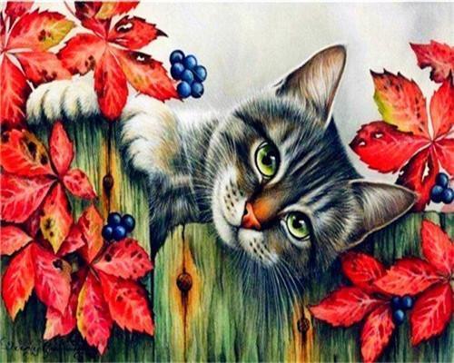 Chat et Fruits Bleus Peinture par Numéros