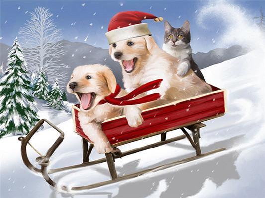 Chat et Golden Retrievers assis dans un Traîneau de Noël Peinture par Numéros