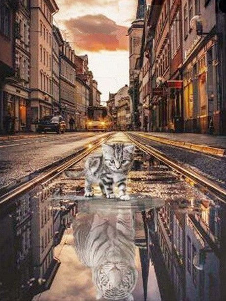 Chat et Tigre Blanc dans le Reflet Peinture par Numéros