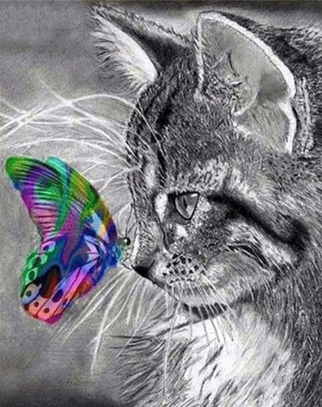 Chat Gris à Poil Long avec un Papillon Coloré Peinture par Numéros