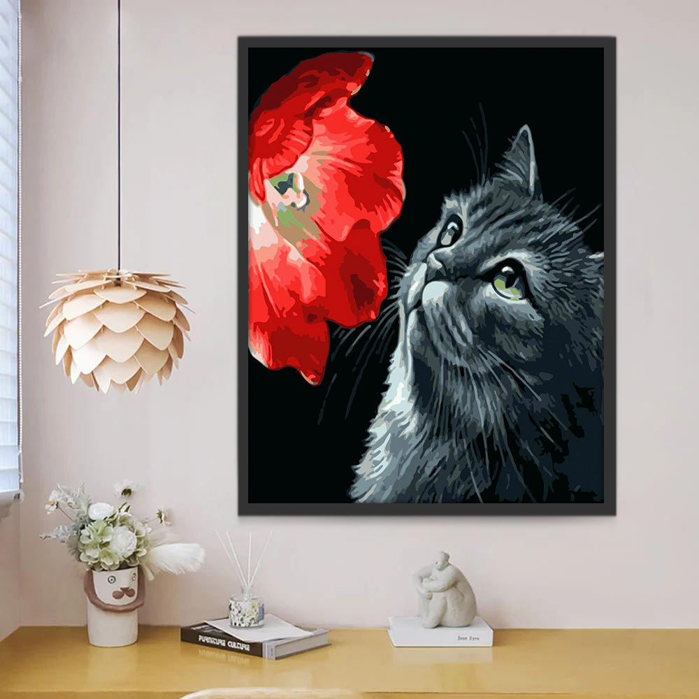 Chat Gris et Fleur Rouge Enorme Peinture par Numéros