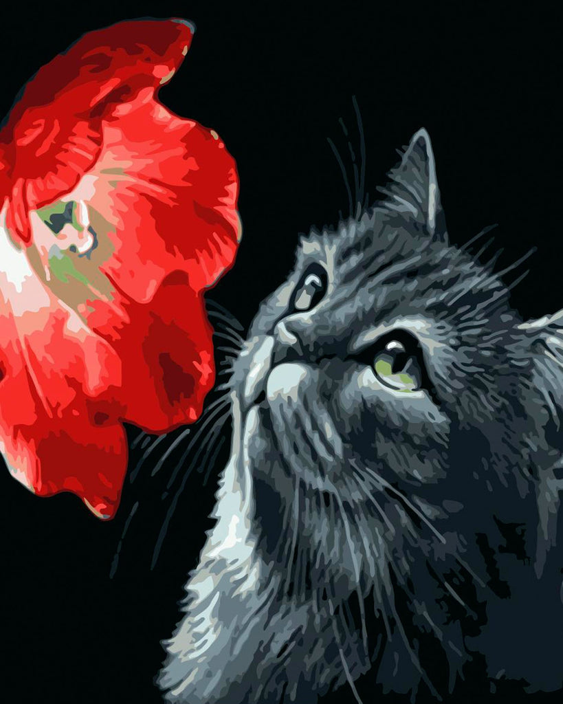 Chat Gris et Fleur Rouge Enorme Peinture par Numéros