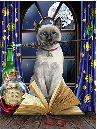 Chat Magique Tenant une Baguette Magique Peinture par Numéros