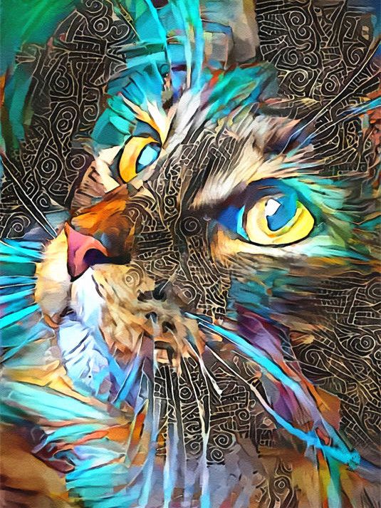 Chat Magnifique Peinture par Numéros
