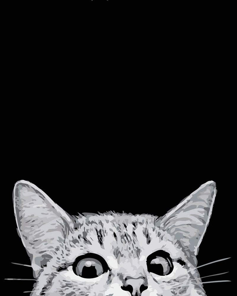 Chat Malicieux Peinture par Numéros