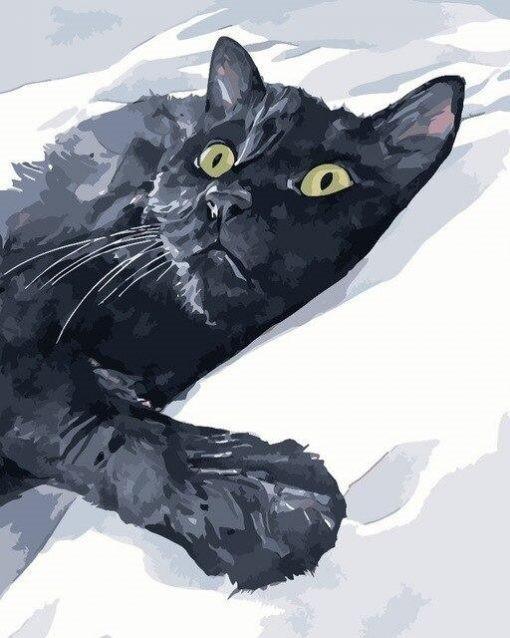 Chat Noir Allongé sur la Couverture Peinture par Numéros