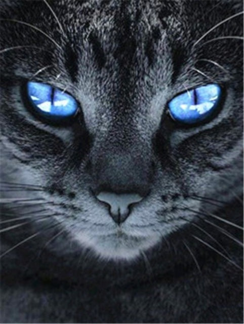 Chat Noir aux Yeux Bleus Peinture par Numéros