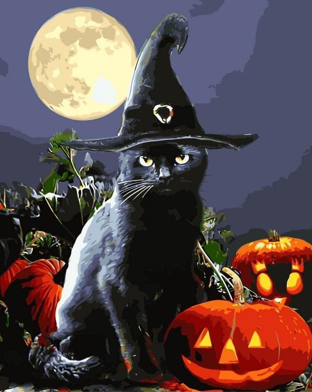 Chat Noir avec un Chapeau de Sorcier Halloween Peinture par Numéros