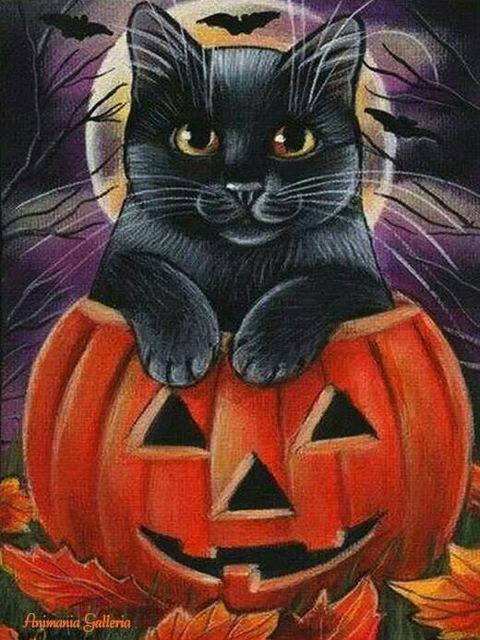 Chat Noir dans la Citrouille Halloween Peinture par Numéros