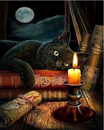 Chat Noir de la Nuit Peinture par Numéros
