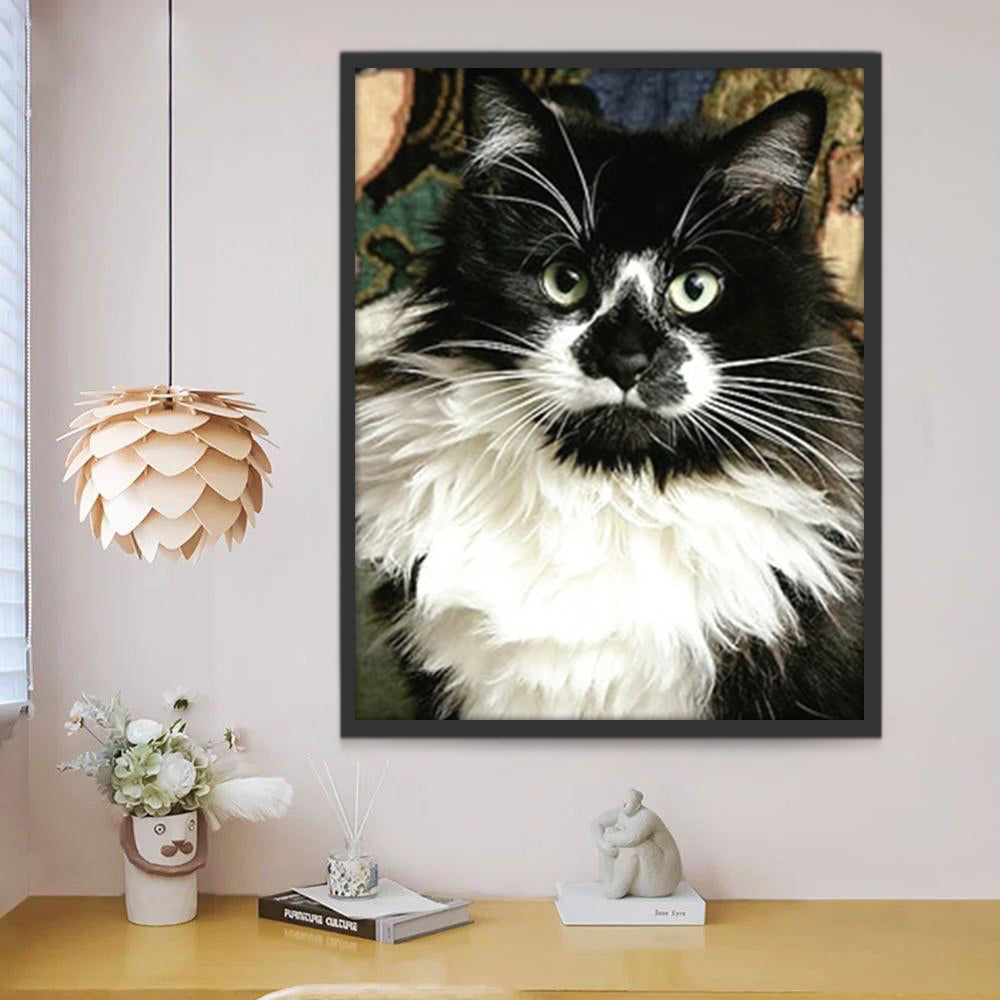 Chat Noir et Blanc Joli Peinture par Numéros