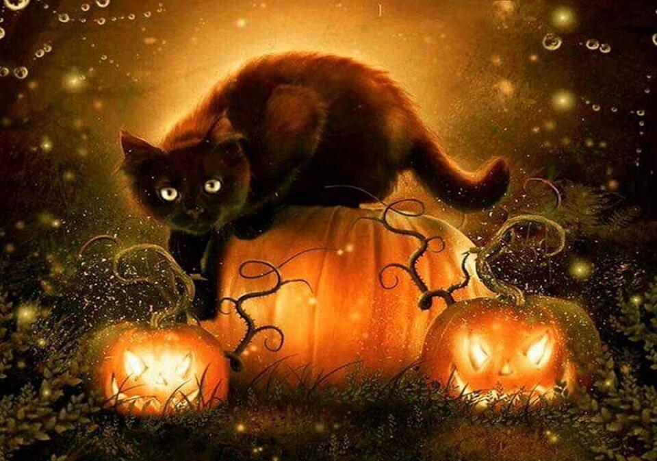 Chat Noir et Lanterne Citrouille Halloween Peinture par Numéros