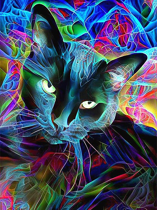 Chat Noir et le Fond Coloré Peinture par Numéros