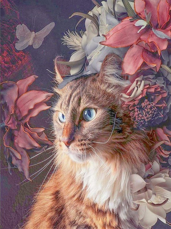 Chat Orange à Poil Long Elégant Peinture par Numéros
