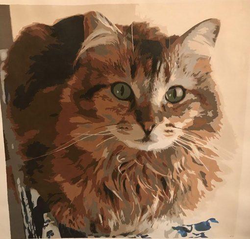 Chat Orange à Poil Long Peinture par Numéros