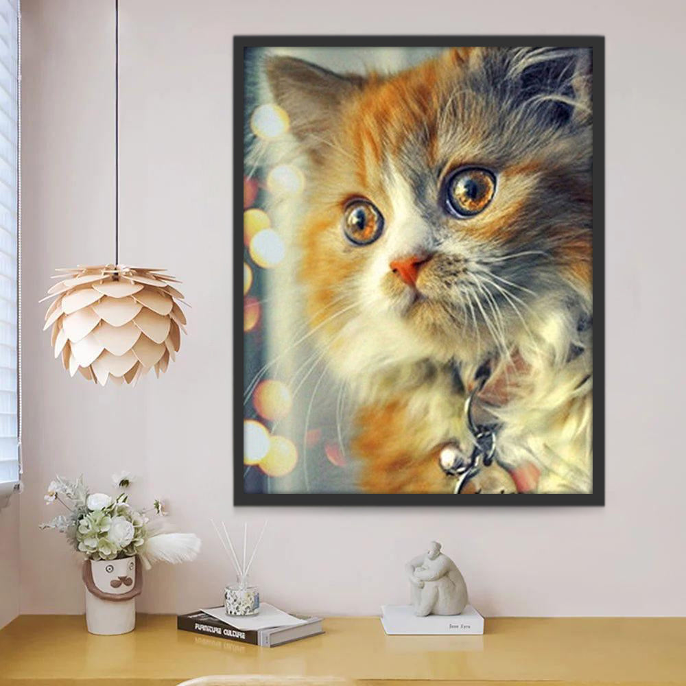 Chat Orange et Blanc Adorable Peinture par Numéros