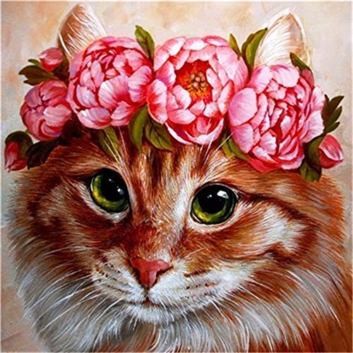 Chat Roux avec une Couronne de Pivoines Roses Peinture par Numéros