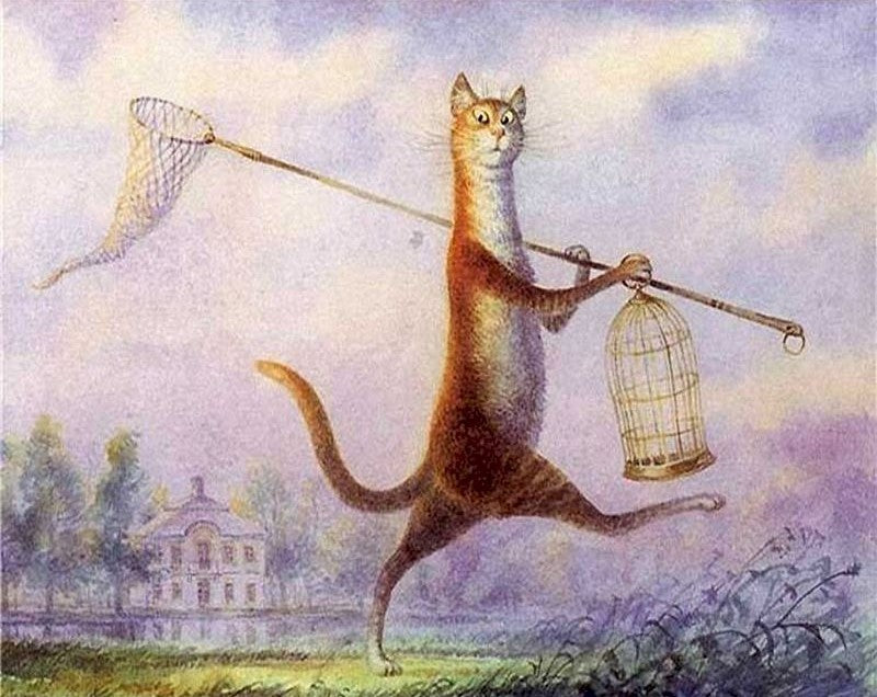 Chat Roux et Cages Peinture par Numéros