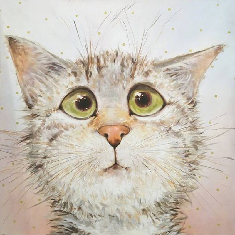 Chat Sot Peinture par Numéros