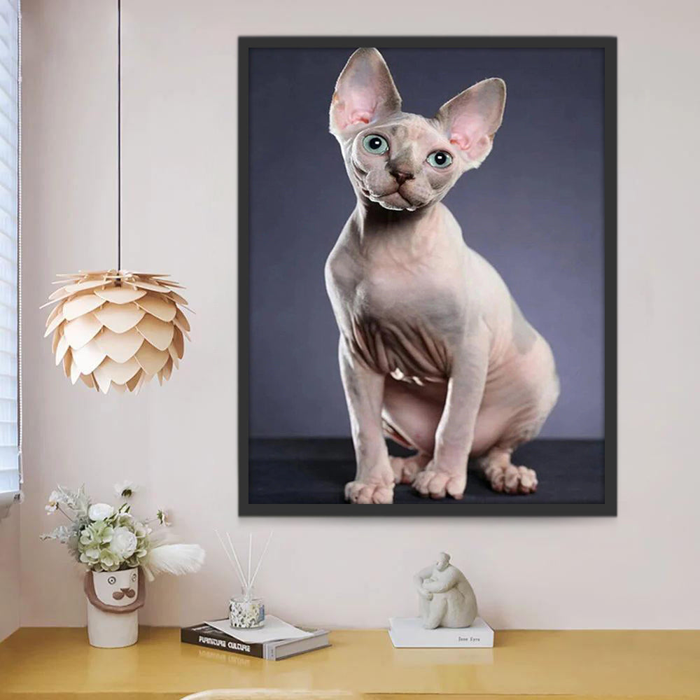 Chat Sphynx Peinture par Numéros