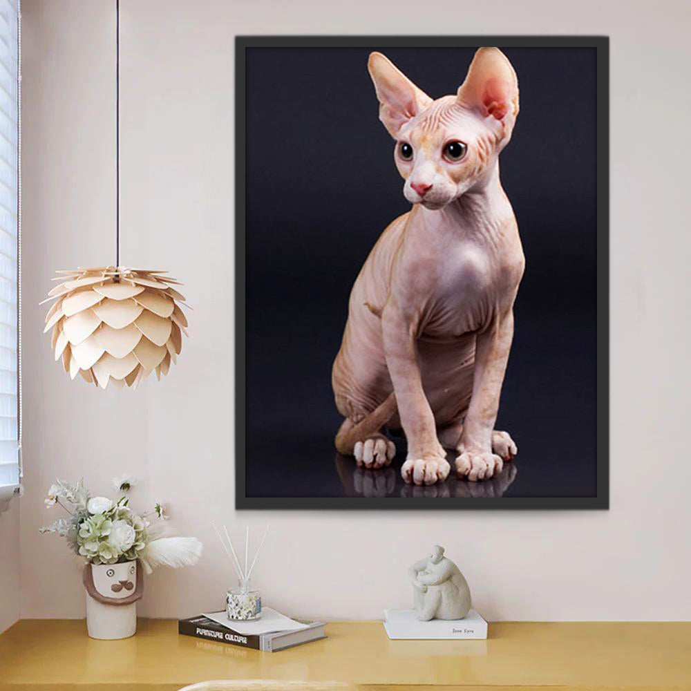 Chat Sphynx Peinture par Numéros