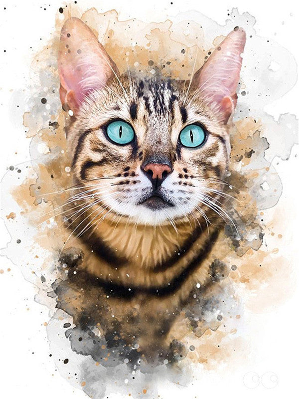 Chat Tigré aux Yeux Bleus Peinture par Numéros