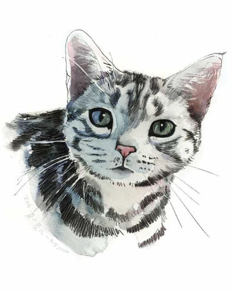 Chat Tigré Charmant Peinture par Numéros