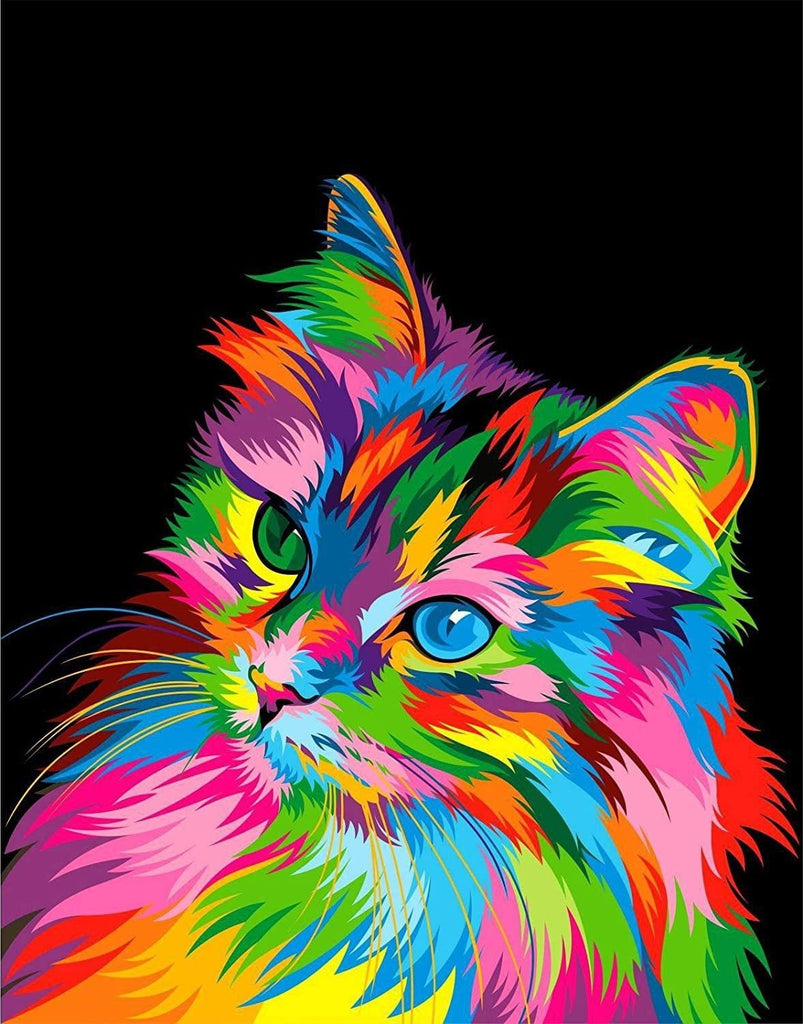 Chaton à Poil Long Coloré Peinture par Numéros