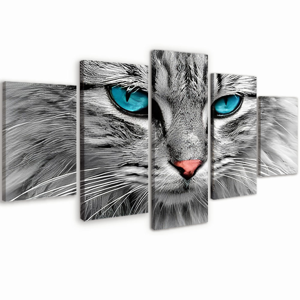 Chaton Argenté aux Yeux Bleus 5 Partie Peinture par Numéros