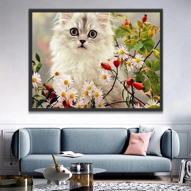 Chaton Blanc à Poil Long et Marguerites Peinture par Numéros