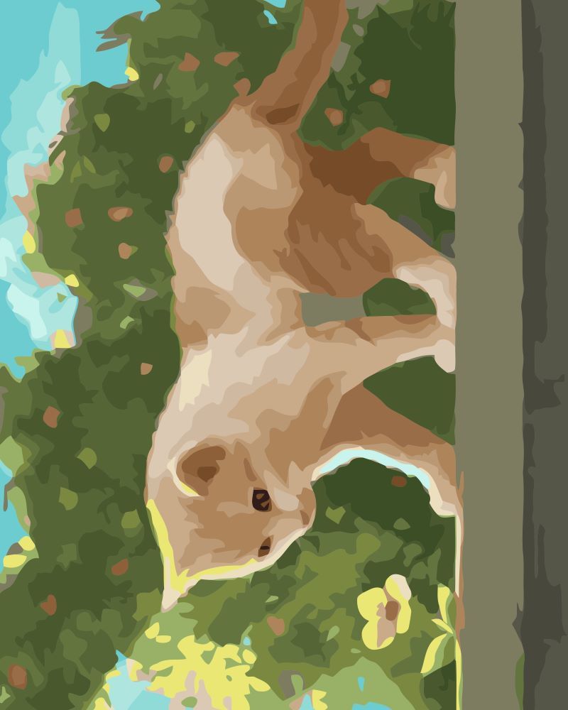Chaton Doré Peinture par Numéros